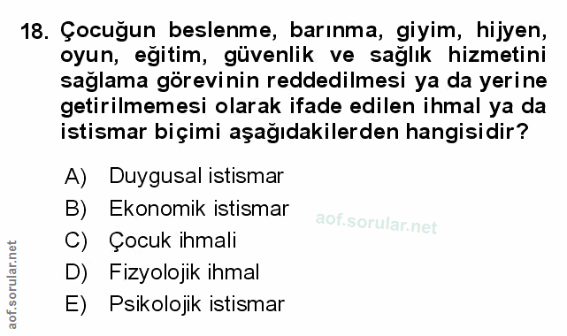 Soru 18