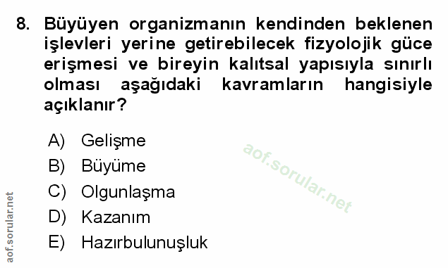 Soru 8