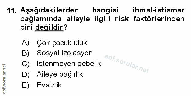 Soru 11