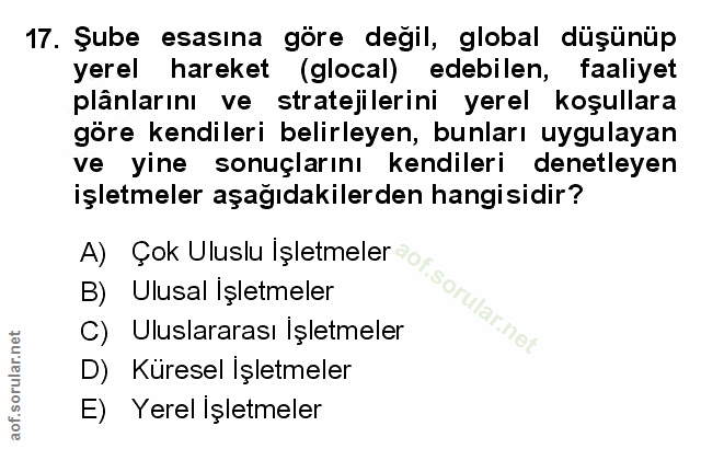 Soru 17