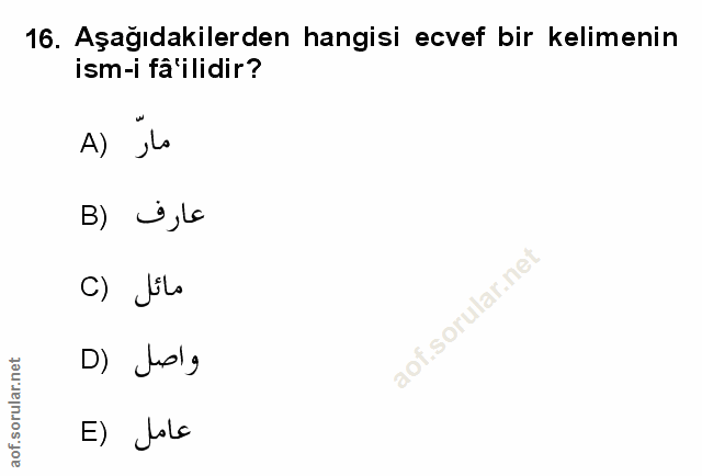 Soru 16