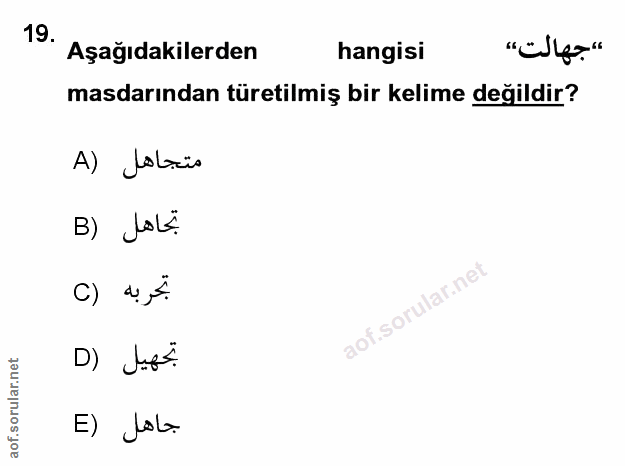 Soru 19