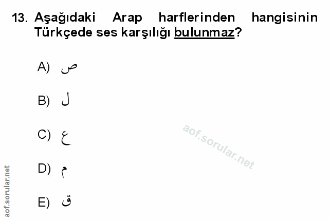 Soru 13
