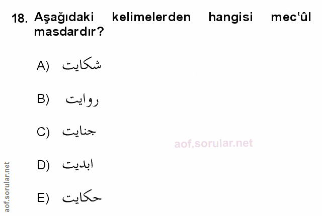 Soru 18