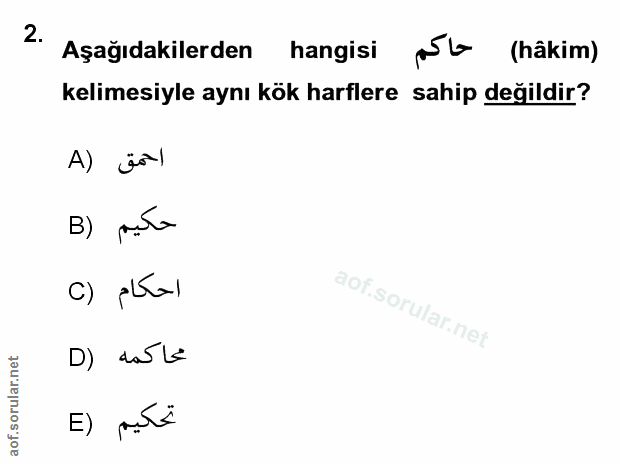 Soru 2