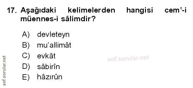 Soru 17