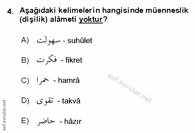 Soru 4
