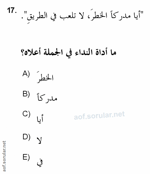Soru 17