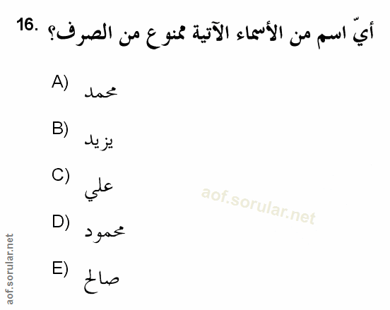 Soru 16