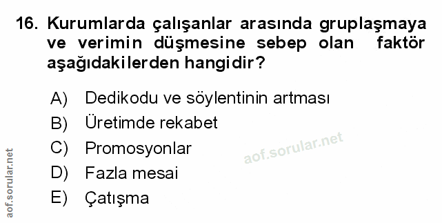 Soru 16
