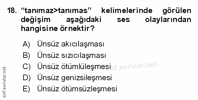 Soru 18