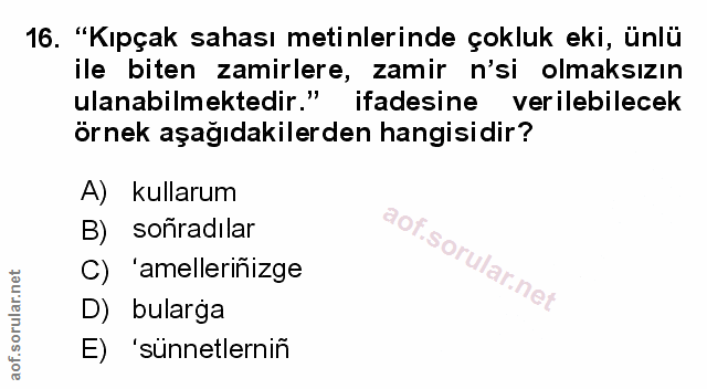 Soru 16