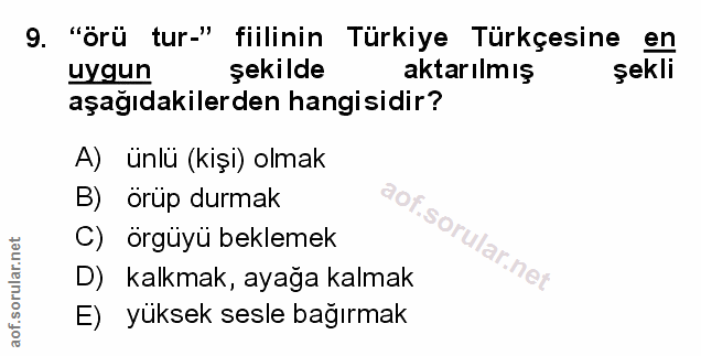 Soru 9