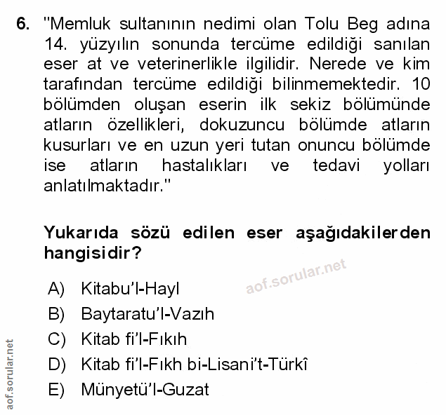 Soru 6