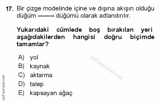 Soru 17