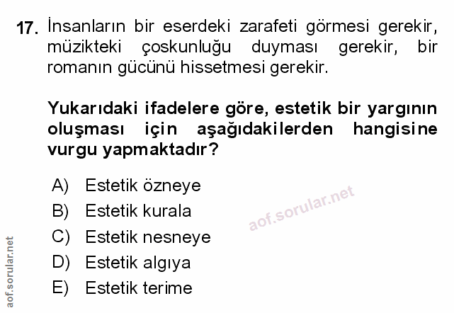 Soru 17