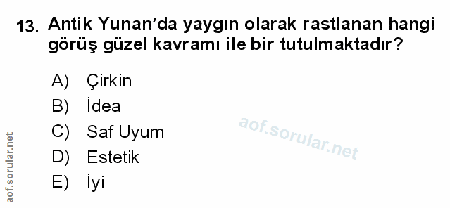 Soru 13