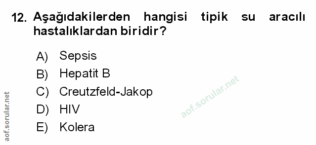 Soru 12