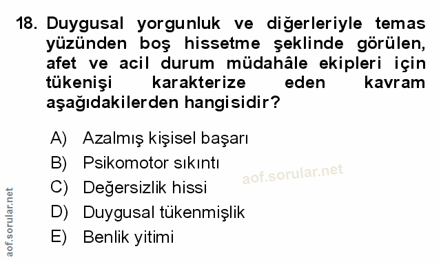 Soru 18