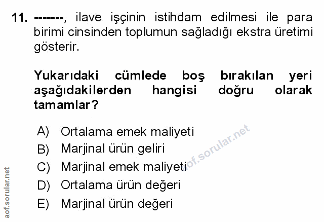 Soru 11