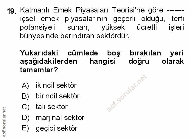 Soru 19