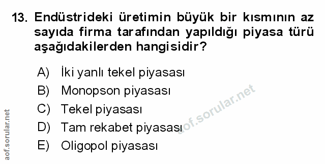 Soru 13