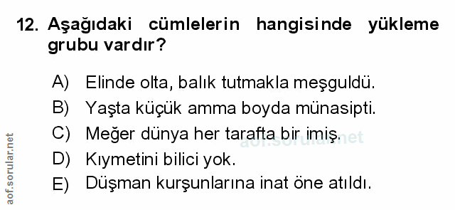 Soru 12
