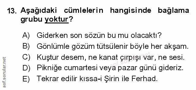 Soru 13