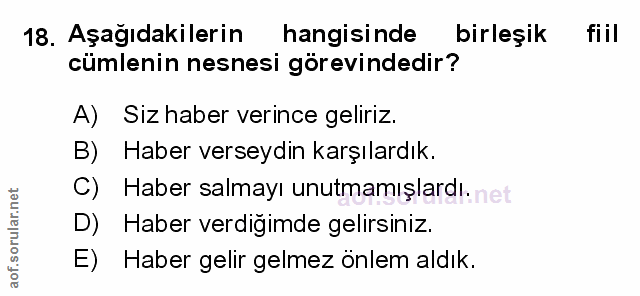 Soru 18