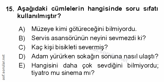 Soru 15