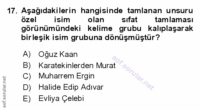 Soru 17