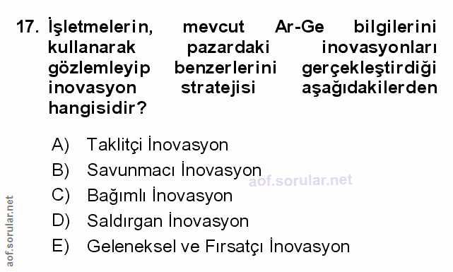 Soru 17