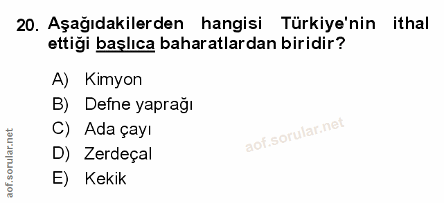 Soru 20