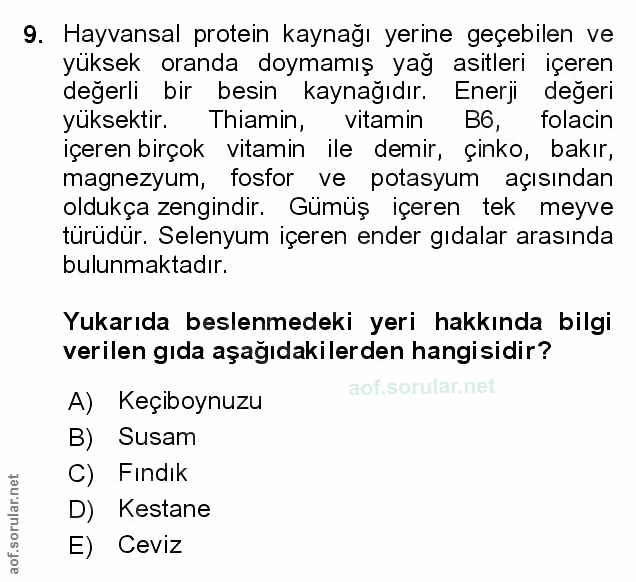 Soru 9