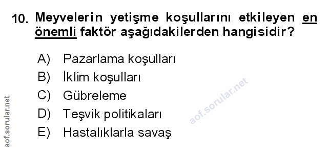 Soru 10