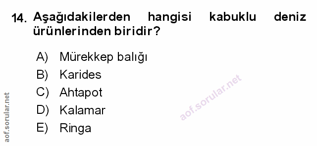 Soru 14