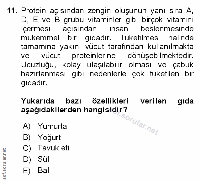 Soru 11