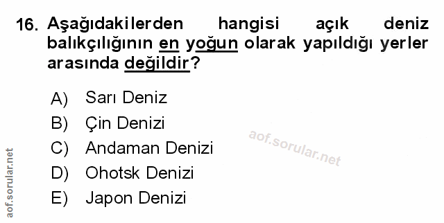Soru 16