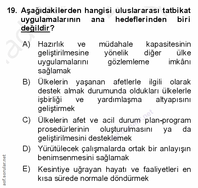 Soru 19
