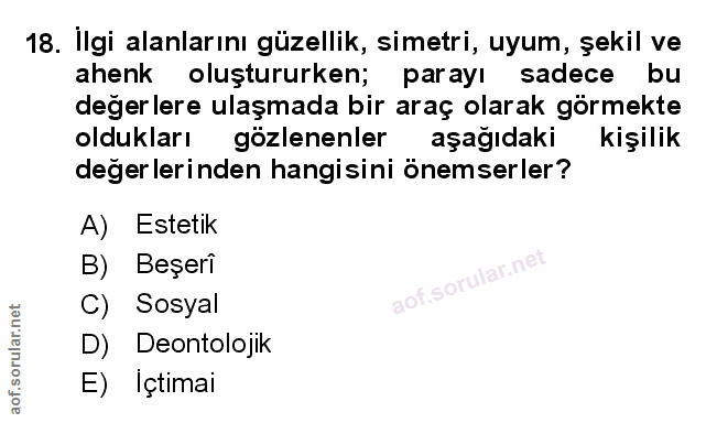 Soru 18