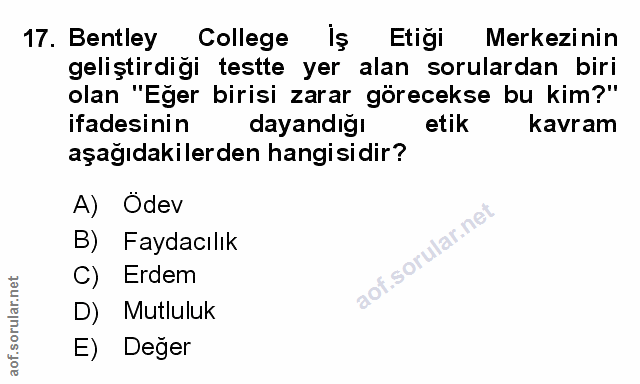 Soru 17