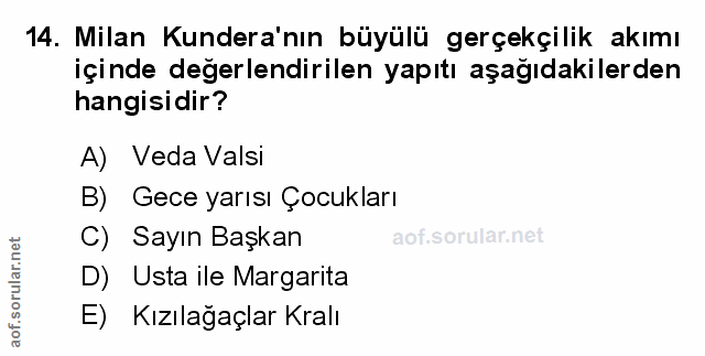 Soru 14