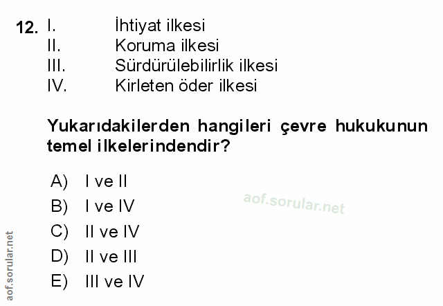 Soru 12