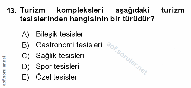 Soru 13