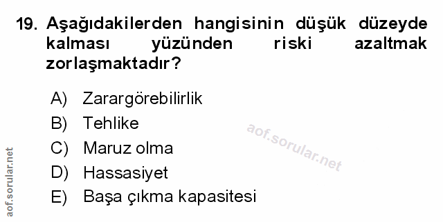 Soru 19