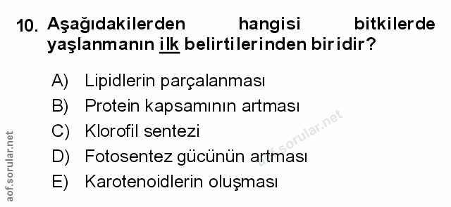 Soru 10