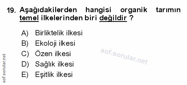 Soru 19