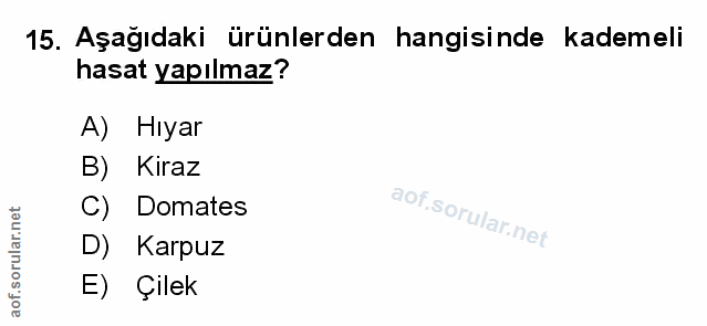 Soru 15