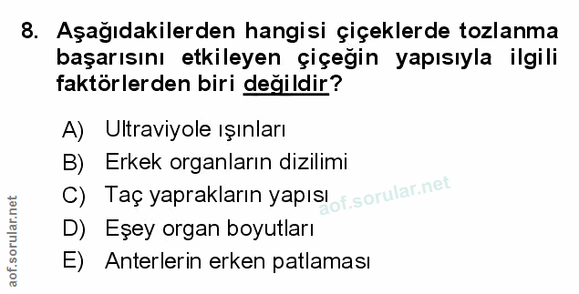 Soru 8