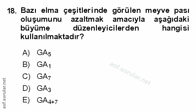 Soru 18
